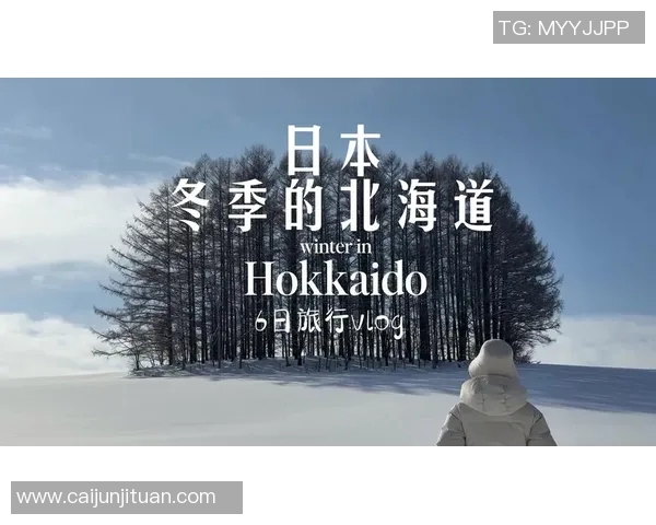 探索札幌冈萨的魅力与风情体验独特的北海道文化之旅