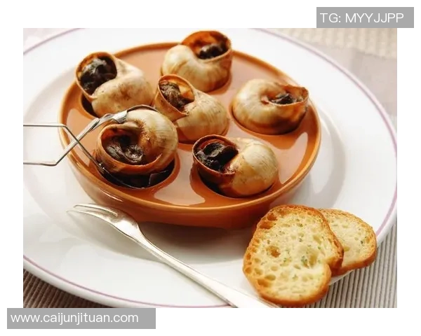 探索阿拉巴的魅力之旅：文化美食与自然风光的完美融合